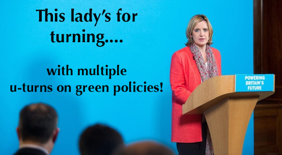 Conservative U-turns on Green Policies