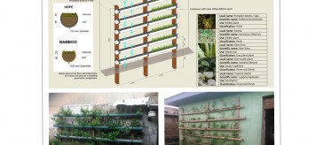 ‘Green walls’ could bring cash and improve indoor comfort